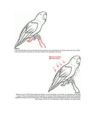 How to draw parrot step by step easy | Parrot drawing | How to draw scenery  | Parrot drawing, Bird drawings, Drawings